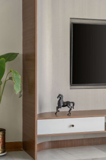 aditya neeraja 1.3.Living