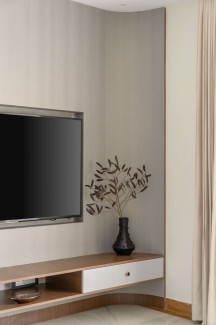 aditya neeraja 1.5.Living